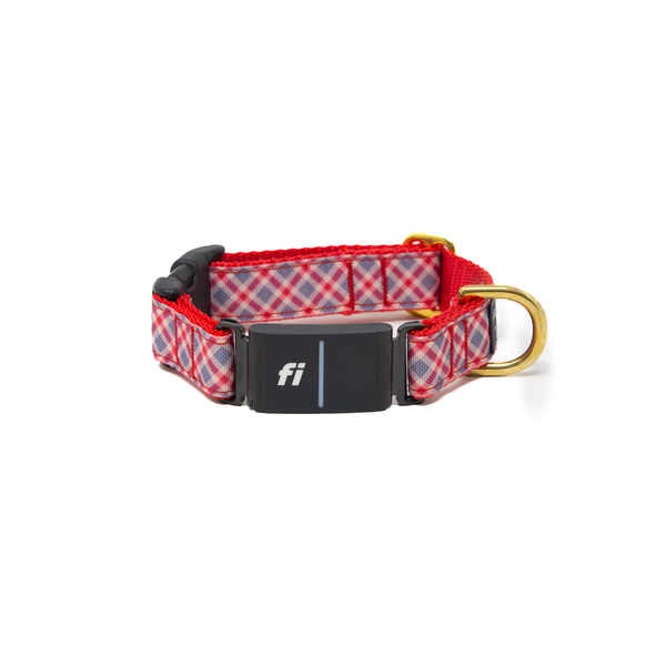 Fi Collar Band - Orchard