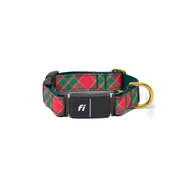 Fi Collar Band - Yuletide Check