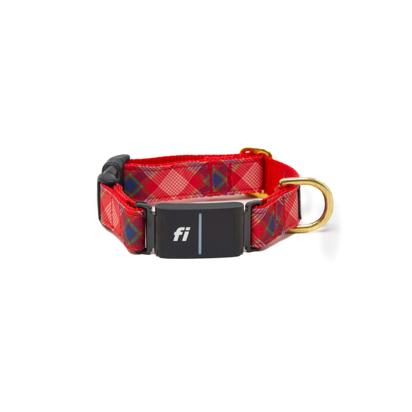 Fi Collar Band - Tartan Tail