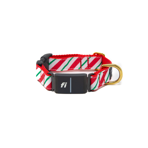 Fi Collar Band - Candy Cane Stripe