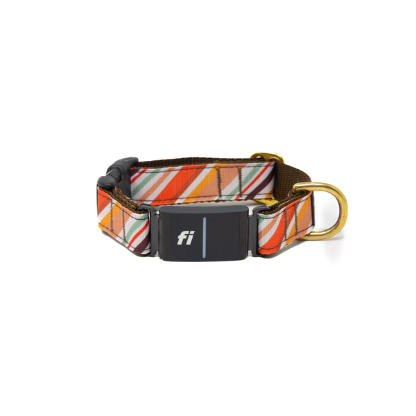 Fi Collar Band - Oak Pup