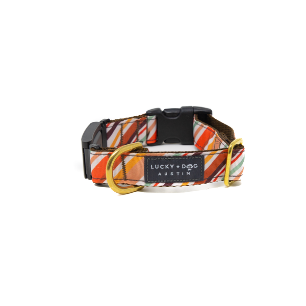 Fi Collar Band - Oak Pup