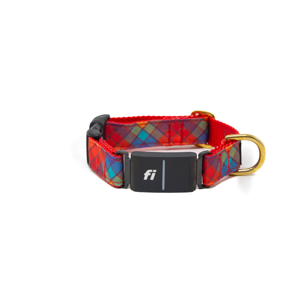 Fi Collar Band - Harvest Check
