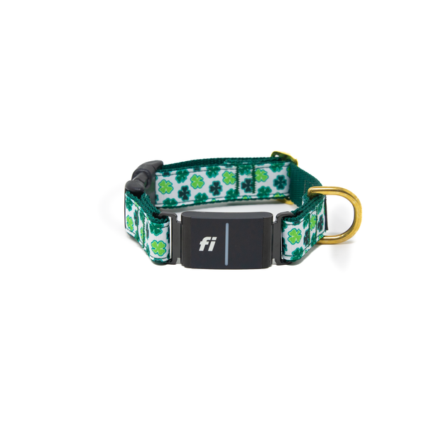 Fi Collar Band - Luck of the Irish
