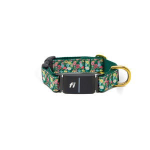 Fi Collar Band - Petal Pop  Fi Collar Band - Petal Pop