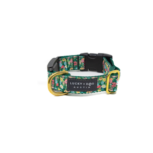 Fi Collar Band - Petal Pop  Fi Collar Band - Petal Pop