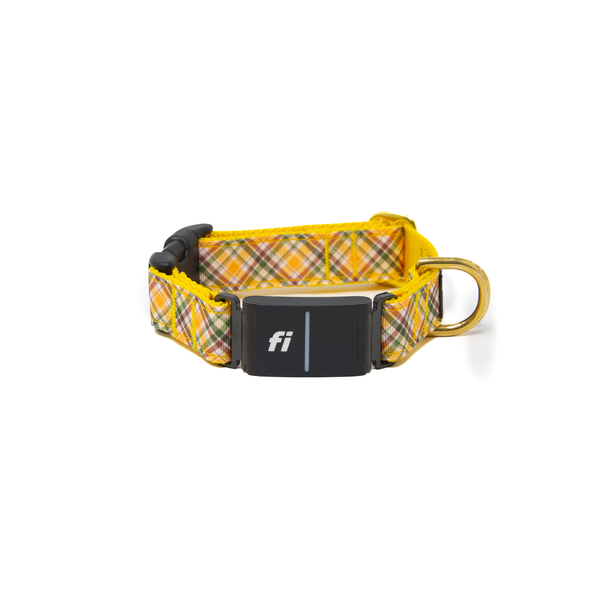 Fi Collar Band - Cozy Cabin