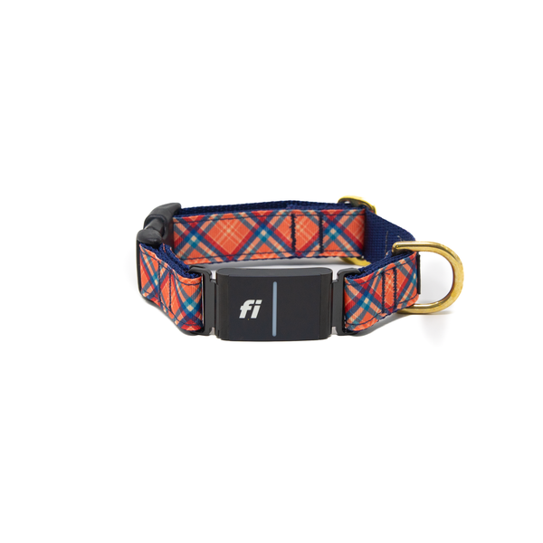 Fi Collar Band - Pumpkin Spice