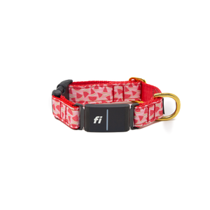 Fi Collar Band - Melon Magic  Fi Collar Band - Melon Magic