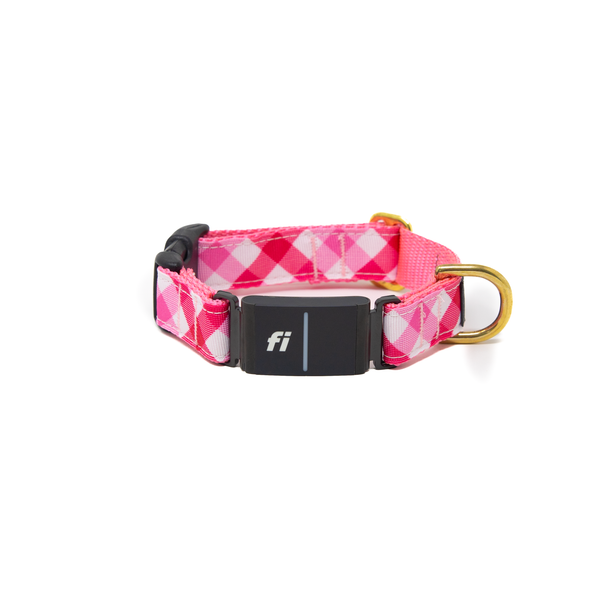 Fi Collar Band - Valentine Check
