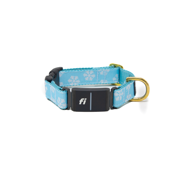 Fi Collar Band - Frosty Paws