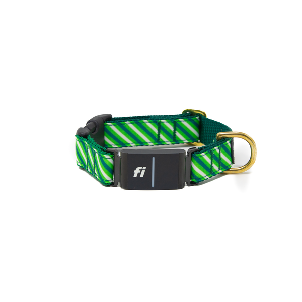 Fi Collar Band - Lucky Stripes