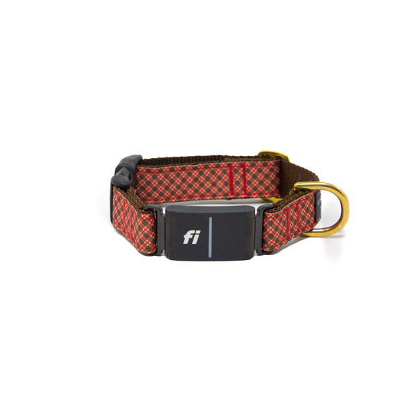 Fi Collar Band - Maple Majesty