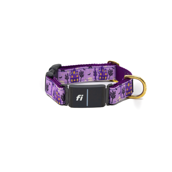 Fi Collar Band - Furry Fright