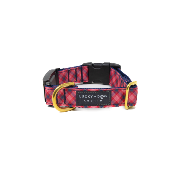 Fi Collar Band - Fall Harvest