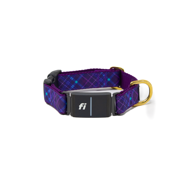 Fi Collar Band - Purplaid Posh