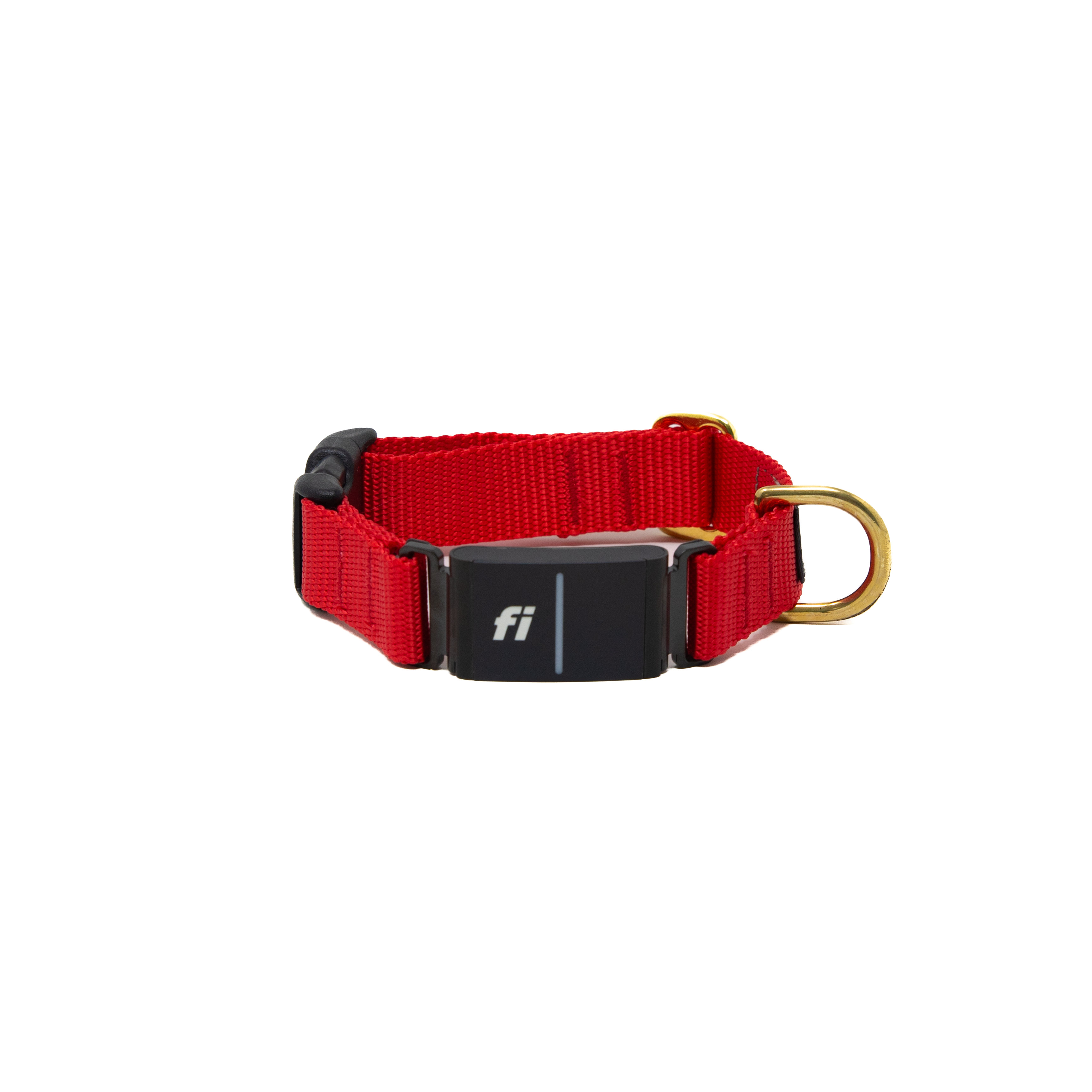 Fi Collar Band - Bright Red – LUCKY + DOG AUSTIN