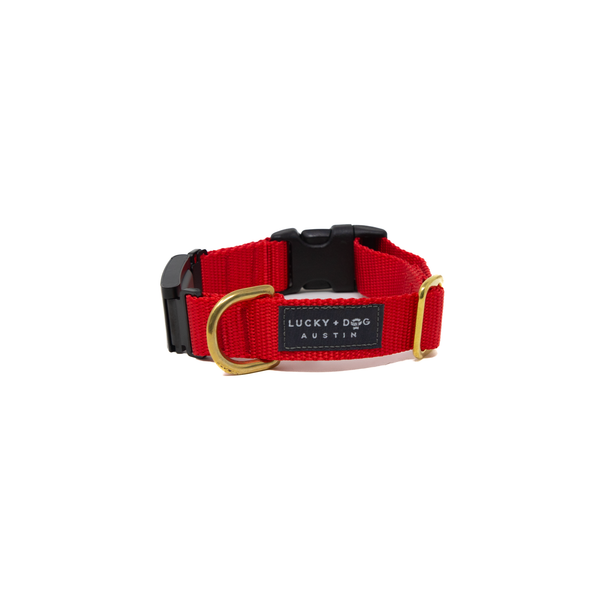 Fi Collar Band - Bright Red