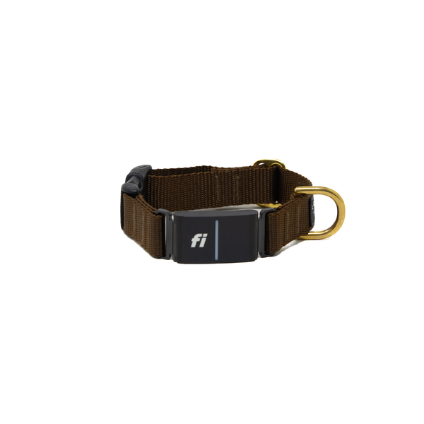 Fi Collar Band - Brown