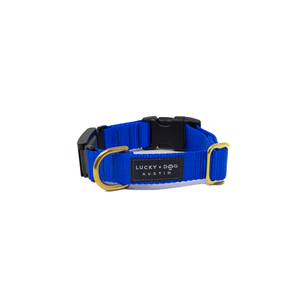 Fi Collar Band - Royal Blue