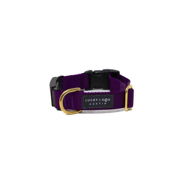 Fi Collar Band - Purple