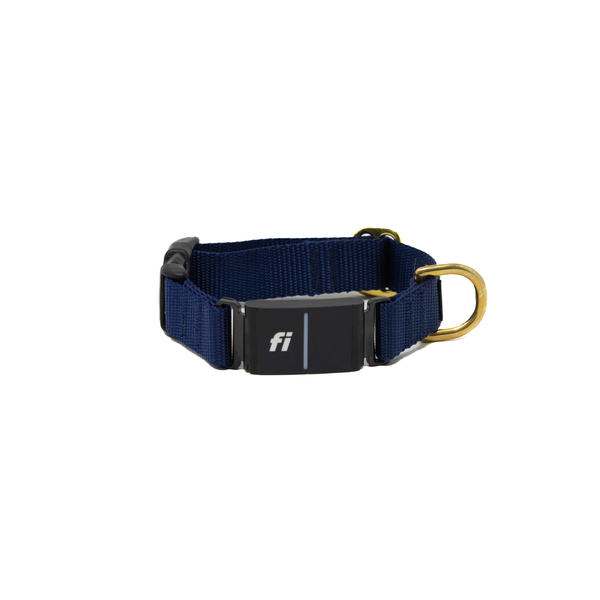 Fi Collar Band - Navy Blue