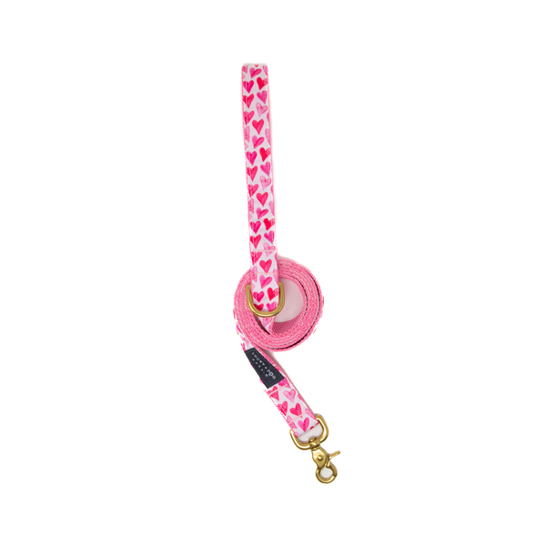 6 ft. Leash - Watercolor Hearts
