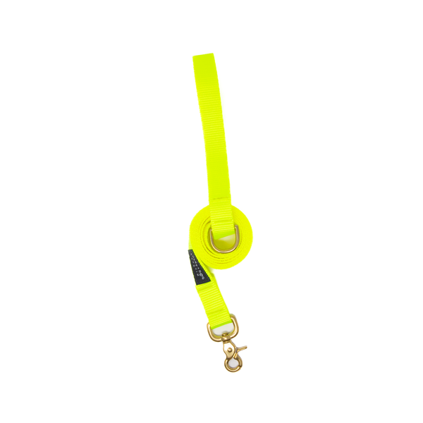 6 ft Leash - Bright Yellow