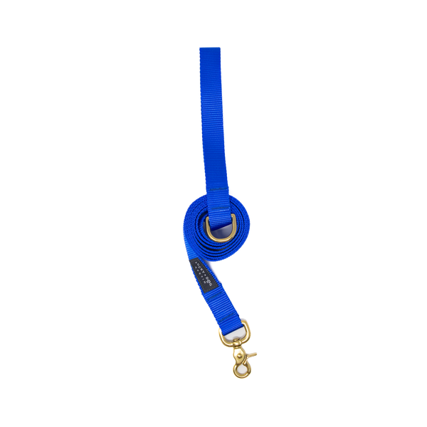 6 ft Leash - Royal Blue