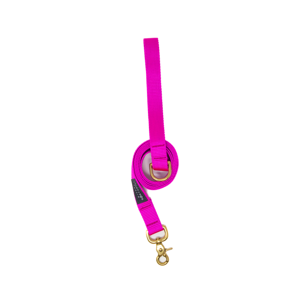 6 ft Leash - Fuchsia