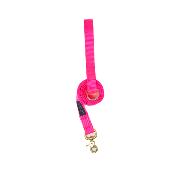 6 ft Leash - Hot Pink