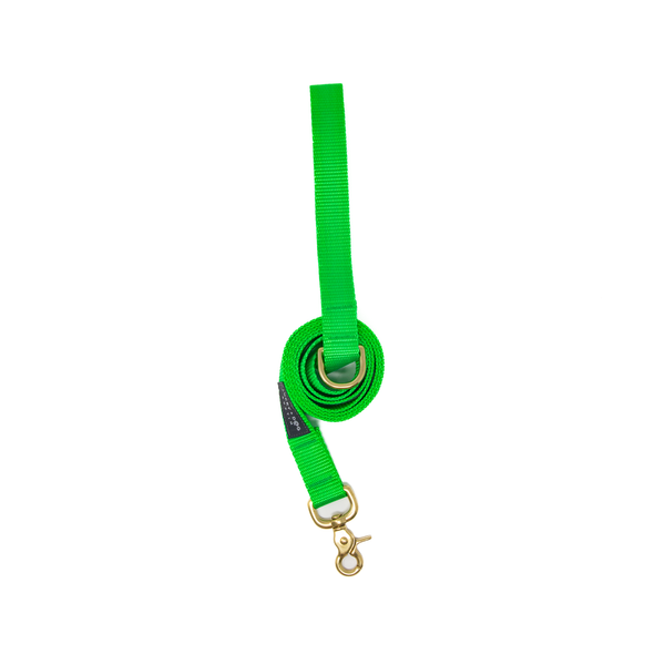 6 ft Leash - Bright Green