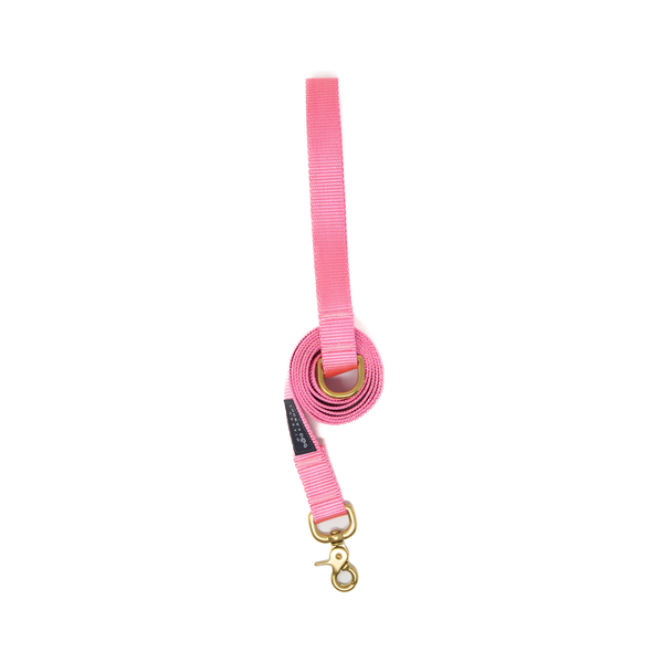 6 ft Leash - Pink