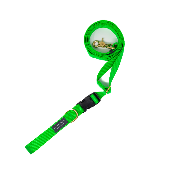 Bright Green - 8 ft. Hands Free Adjustable Leash
