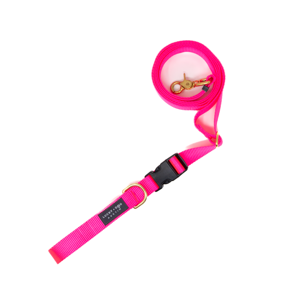 Hot Pink - 8 ft. Hands Free Adjustable Leash