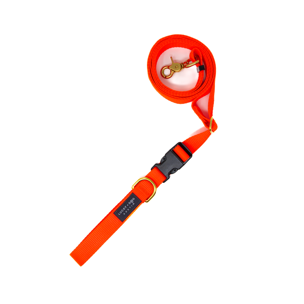 Neon Orange - 8 ft. Hands Free Adjustable Leash