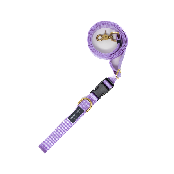 Lavender - 8 ft. Hands Free Adjustable Leash