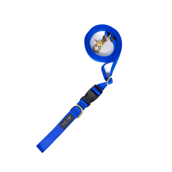 Royal Blue - 8 ft. Hands Free Adjustable Leash