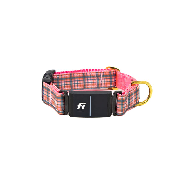 Fi Collar Band - Rosehip Check