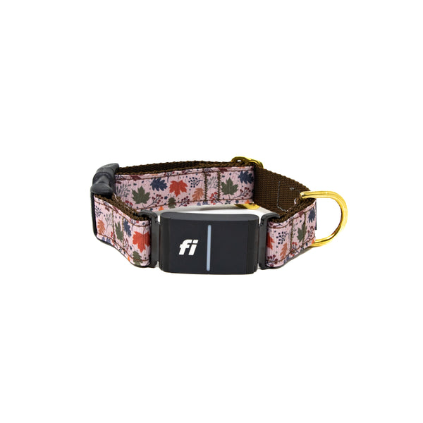 Fi Collar Band - Falling for Autumn
