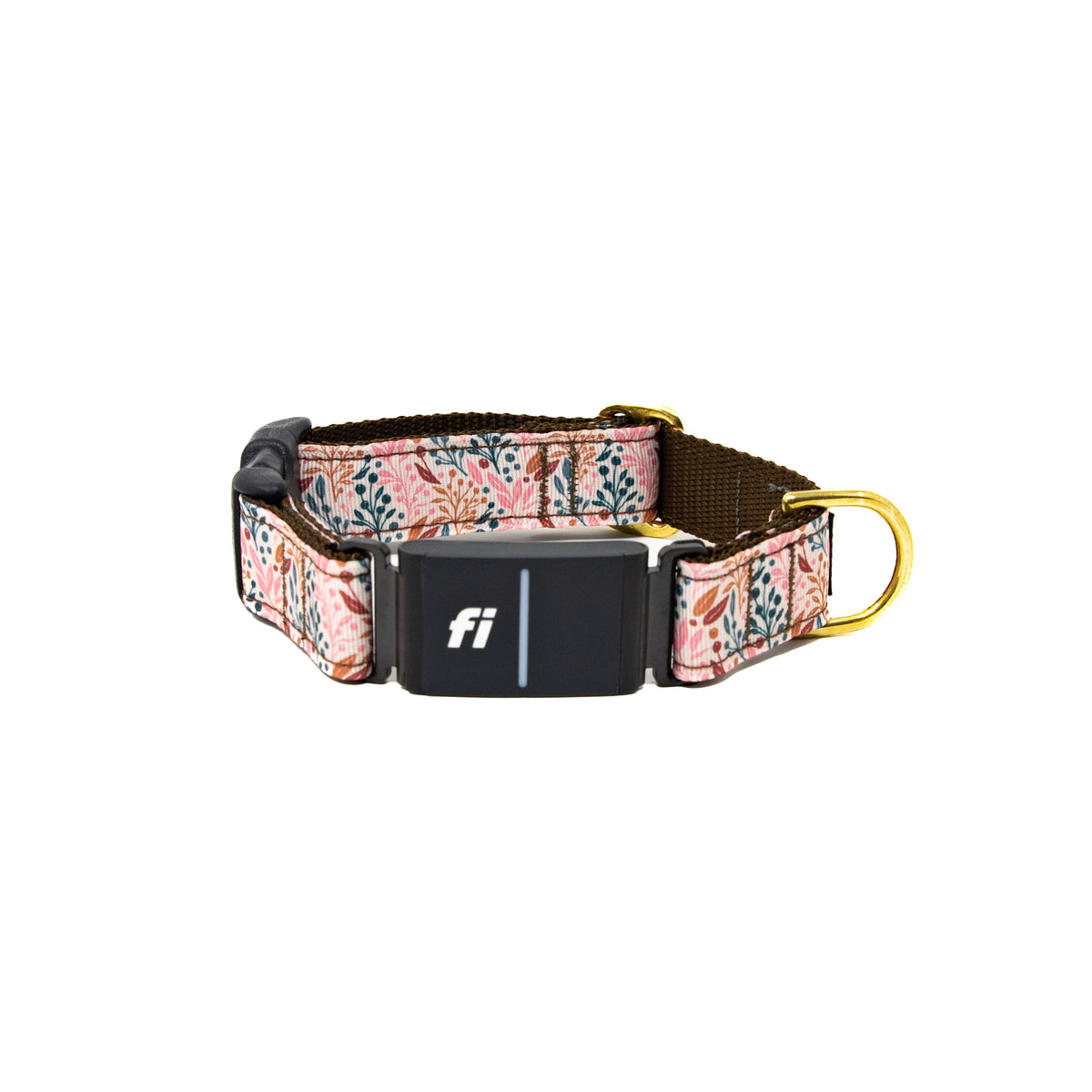 Fi Collar Band - Blushing Birch – LUCKY + DOG AUSTIN