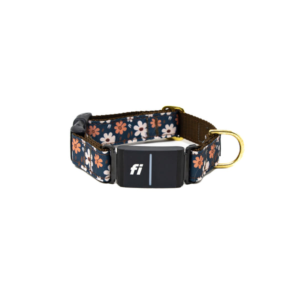 Fi Collar Band - Autumn Meadow