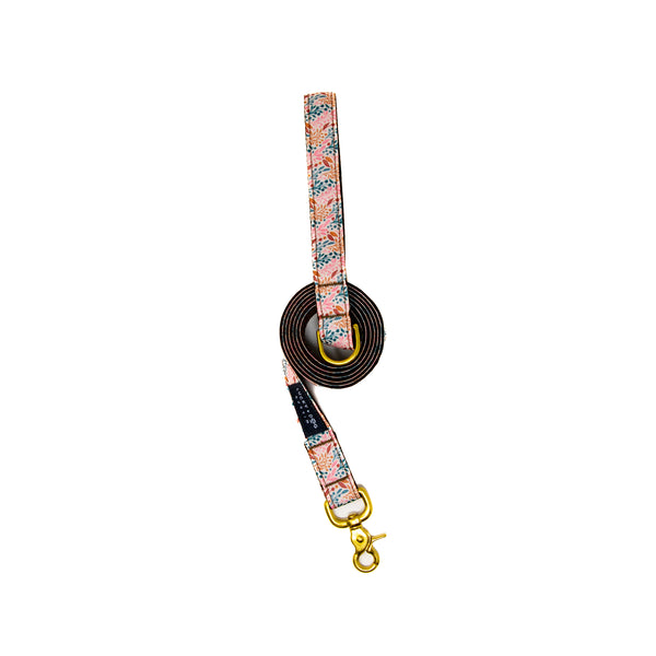 6 ft. Leash - Blushing Birch