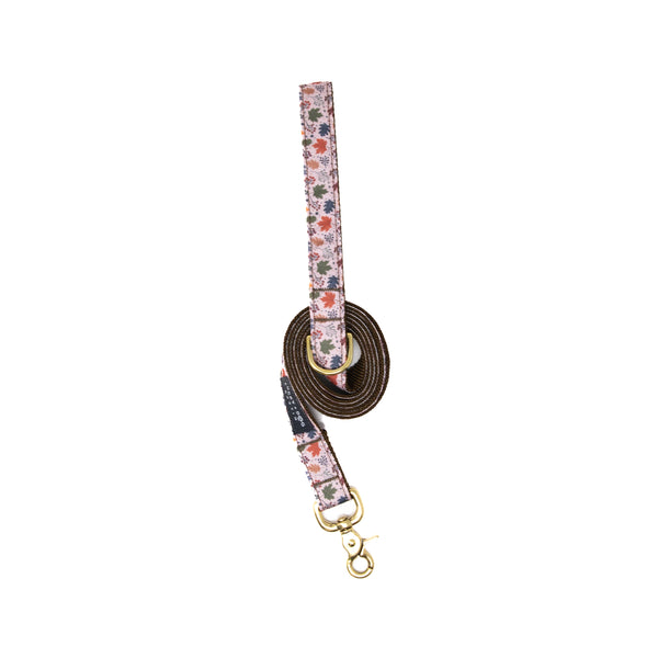 Fi Collar Band - Falling for Autumn