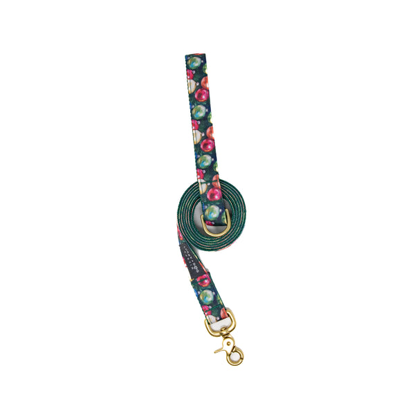 Fi Collar Band - Ornament Alley