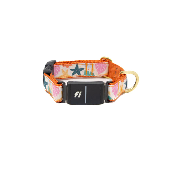 Fi Collar Band - Island Bloom