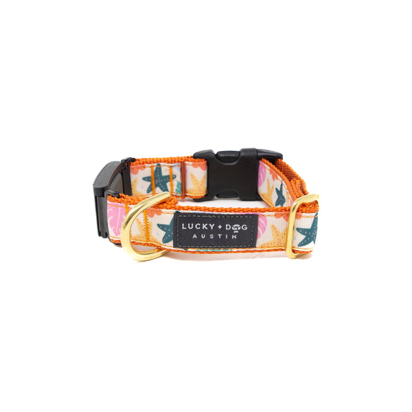 Fi Collar Band - Island Bloom