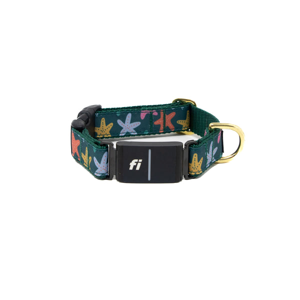 Fi Collar Band - Tidepool Treasures