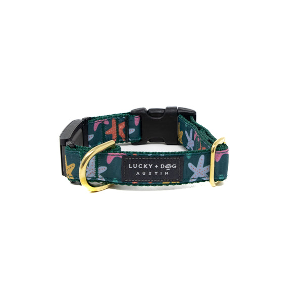 Fi Collar Band - Tidepool Treasures