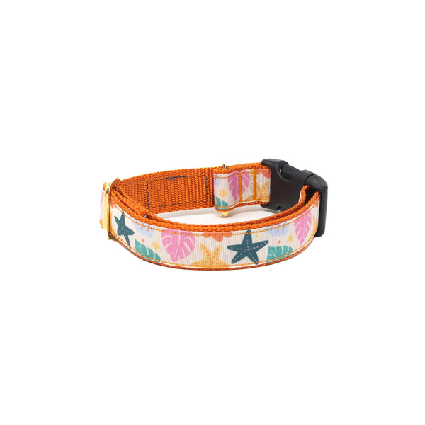 Activewear Collars - Island Bloom